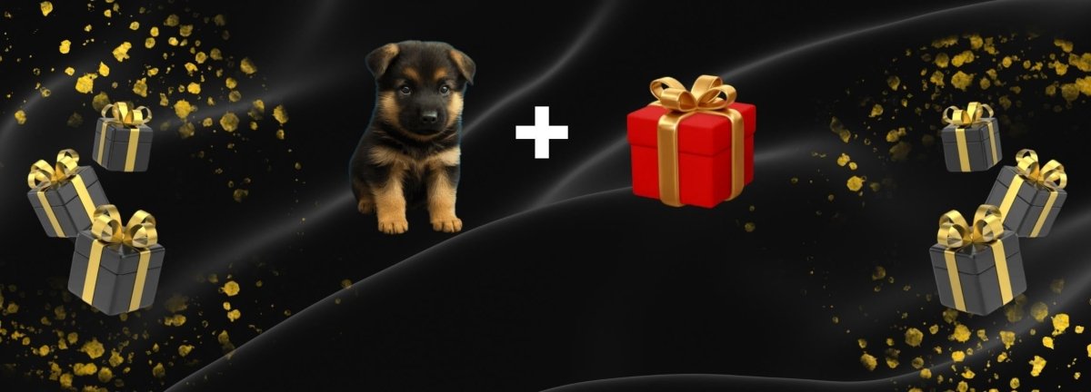 Interactieve Robot Puppy met Realistische Bewegingen voor Speelse Plezier