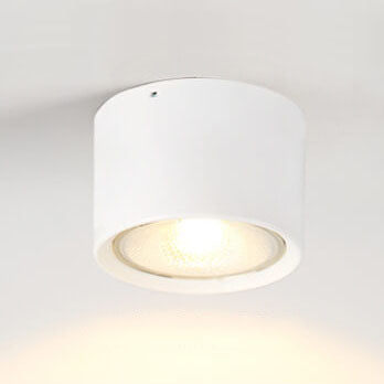 LED Plafondspot Cilinder | Verstelbaar Spotlight Design