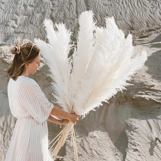 Aurea Meadow Bohemian Gedroogd Pampasgras Voor Woondecoratie