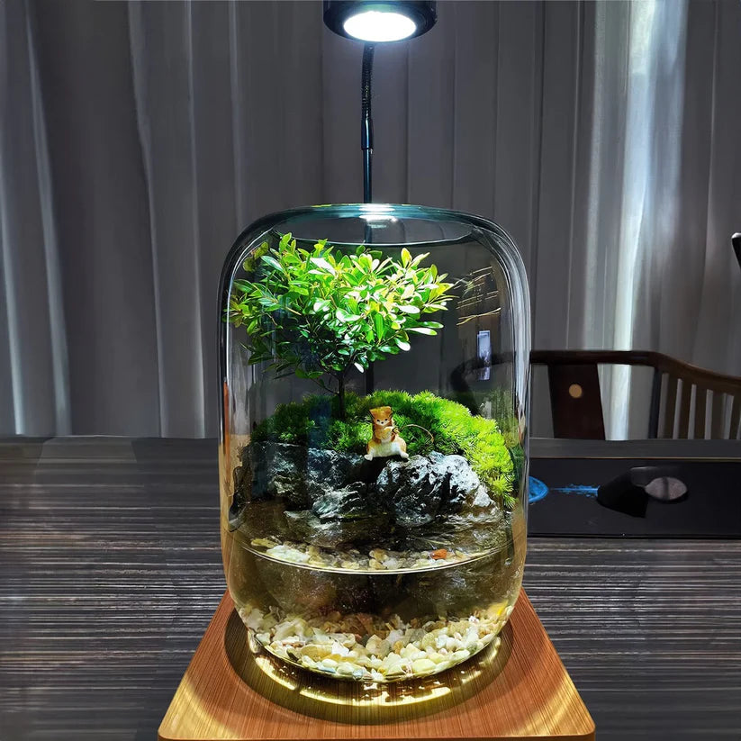 LushVista - Moslandschap Display