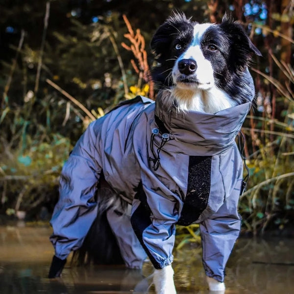 Honden Regenjas met Benen - Waterdichte Hondenjas voor Kleine en Grote Rassen | UK Cozy Winterkleding
