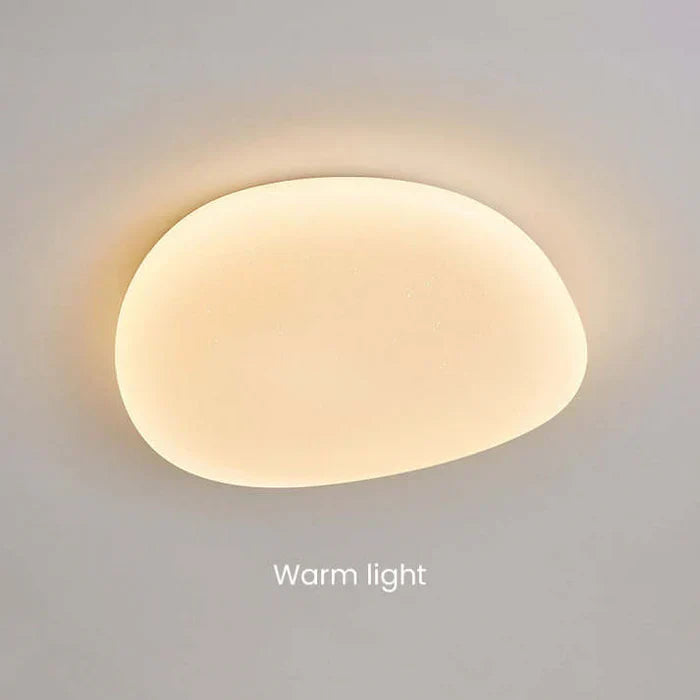 LED Plafondlamp Organische Natuurlijke Steen Vorm