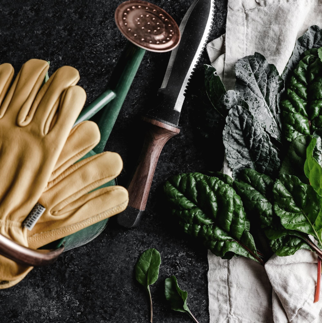 Survivalmes Van TrailForge Pro Grip Met Ergonomisch Handvat En Robuust Lemmet