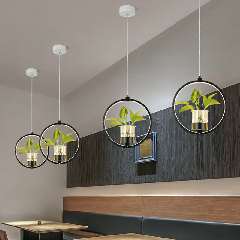 Nordic Circulaire LED Plafond Hanglamp Acryl Eetkamer Hanglamp met Glazen Plantenbak