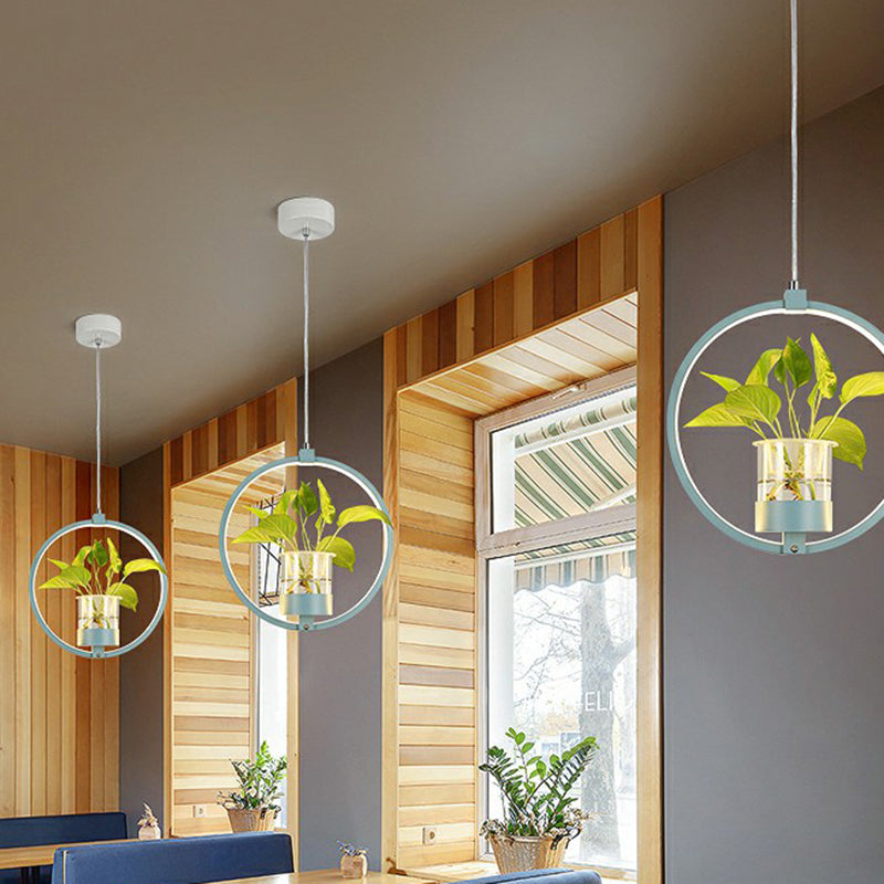 Nordic Circulaire LED Plafond Hanglamp Acryl Eetkamer Hanglamp met Glazen Plantenbak