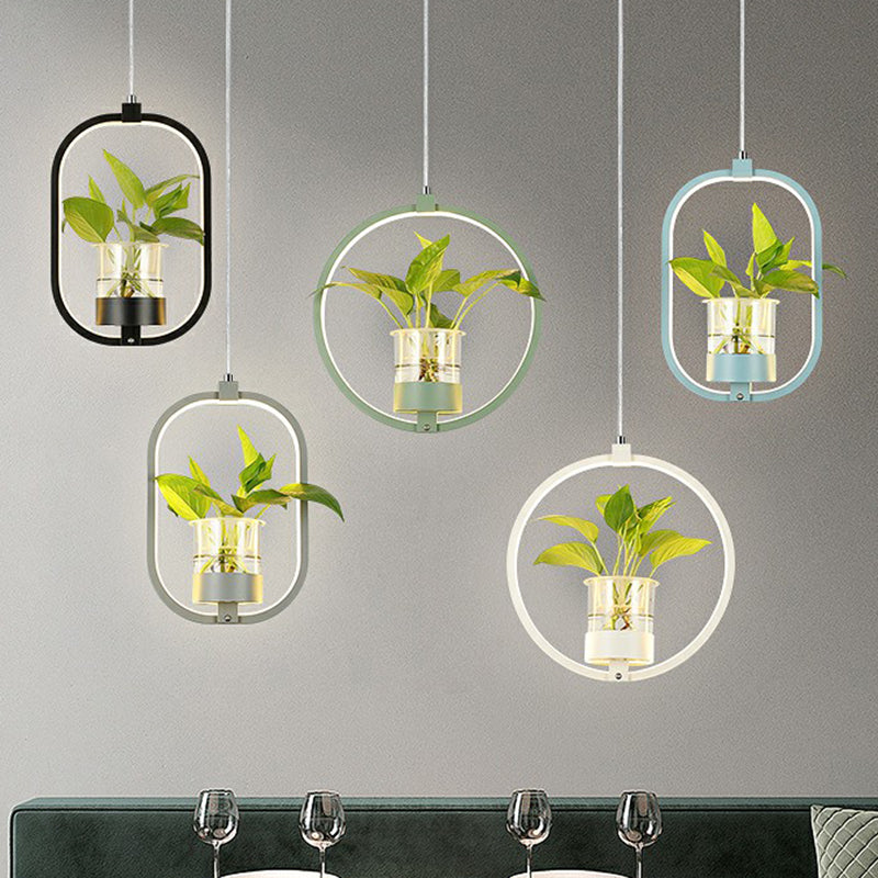 Nordic Circulaire LED Plafond Hanglamp Acryl Eetkamer Hanglamp met Glazen Plantenbak