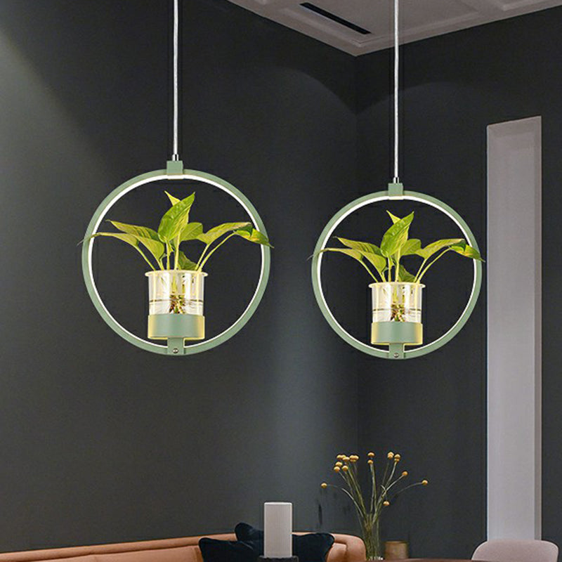 Nordic Circulaire LED Plafond Hanglamp Acryl Eetkamer Hanglamp met Glazen Plantenbak