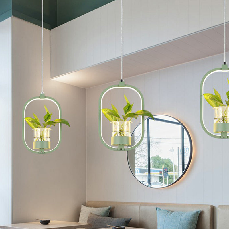 Nordic Circulaire LED Plafond Hanglamp Acryl Eetkamer Hanglamp met Glazen Plantenbak
