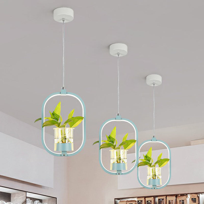 Nordic Circulaire LED Plafond Hanglamp Acryl Eetkamer Hanglamp met Glazen Plantenbak