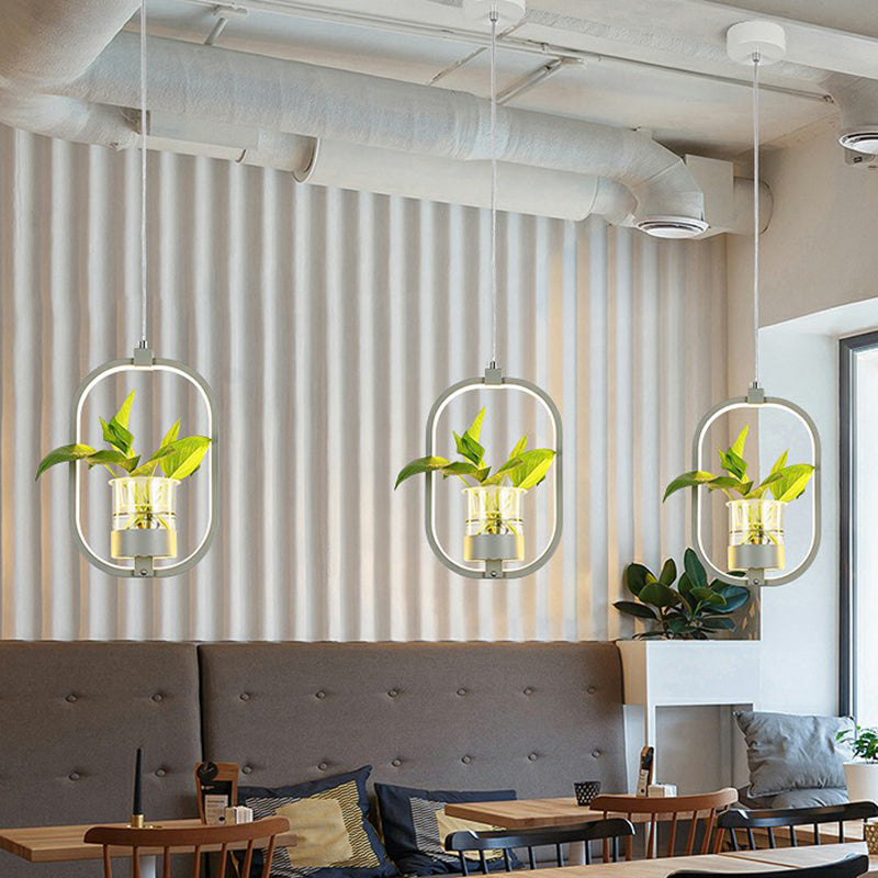 Nordic Circulaire LED Plafond Hanglamp Acryl Eetkamer Hanglamp met Glazen Plantenbak