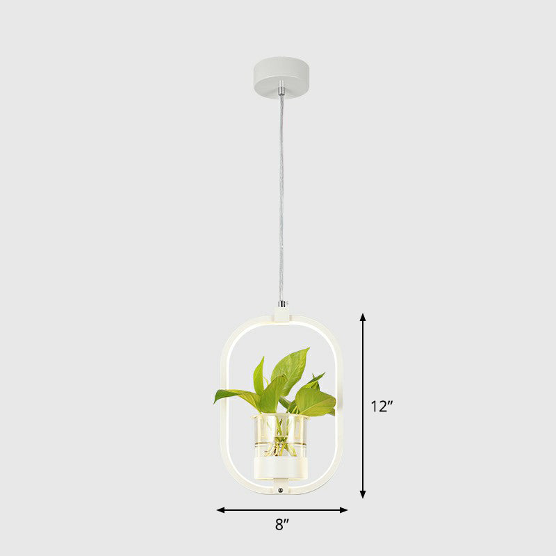 Nordic Circulaire LED Plafond Hanglamp Acryl Eetkamer Hanglamp met Glazen Plantenbak