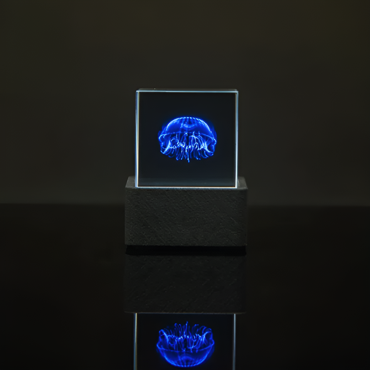 CubeVision | Met aanpasbare GIF's en realtime updates