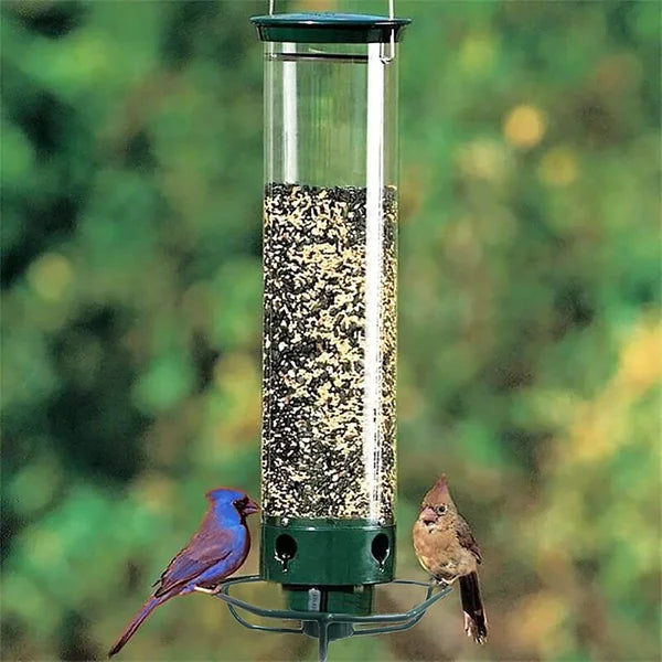Eekhoornbestendige Automatische Vogelvoeder