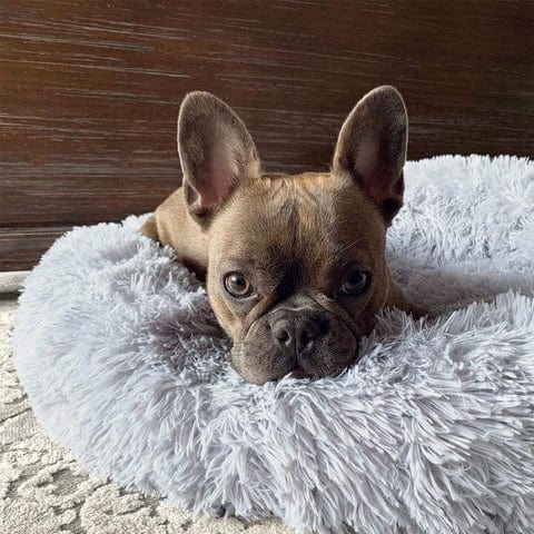 Fluffy Kalmerend Bed