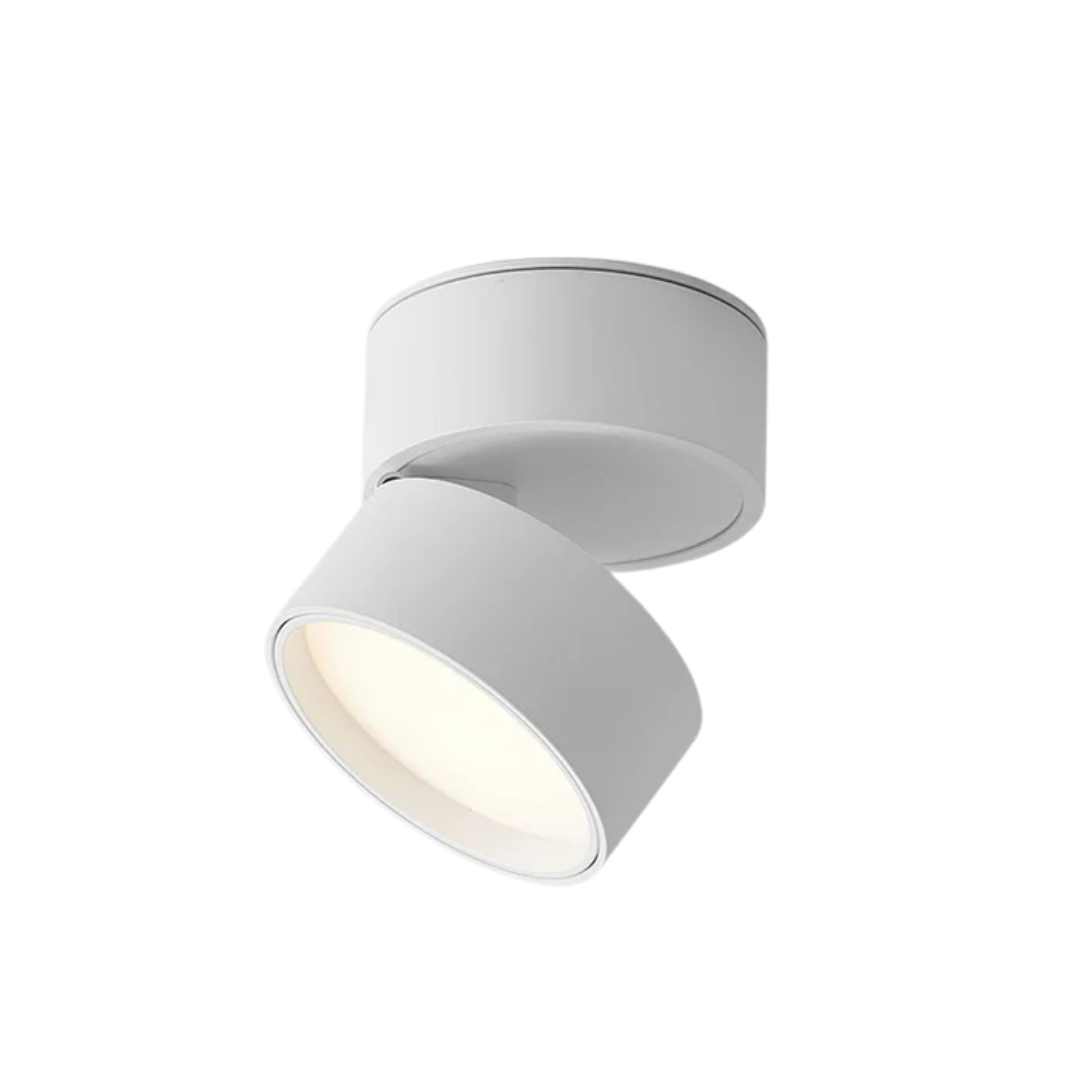 Somos - Verstelbare LED Plafondlamp