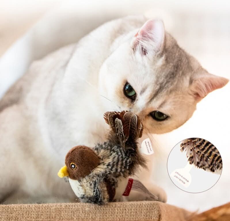 Stimuleer de natuurlijke instincten van je kat