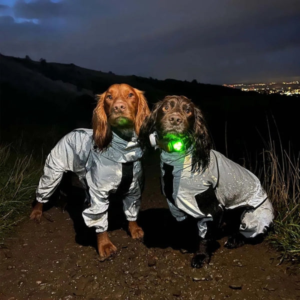 Honden Regenjas met Benen - Waterdichte Hondenjas voor Kleine en Grote Rassen | UK Cozy Winterkleding