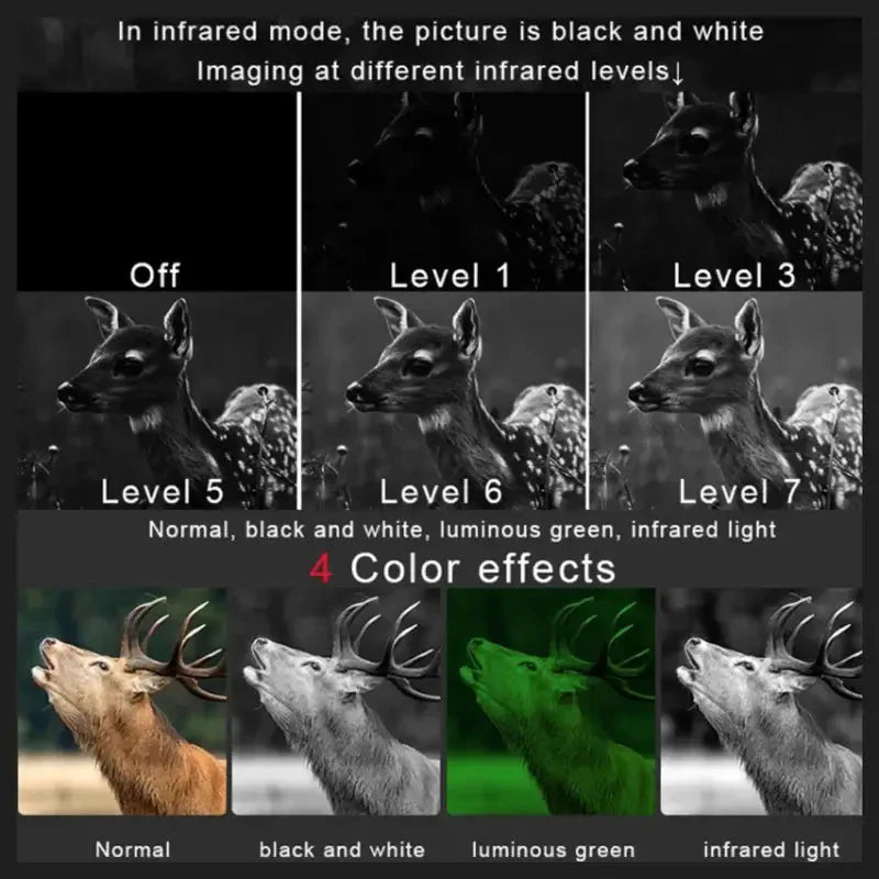 Nachtkijker 3D met Infraroodzicht