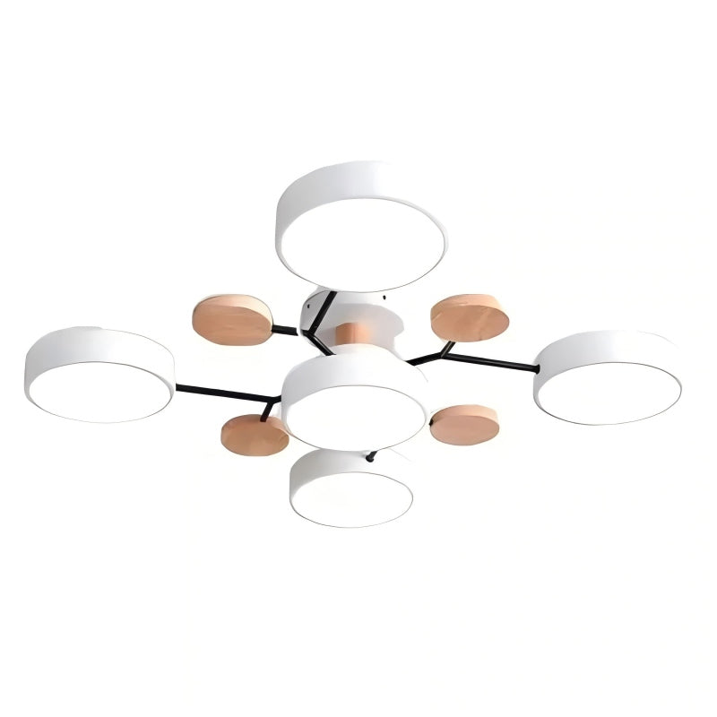 Circulaire Acryl LED Plafondlamp