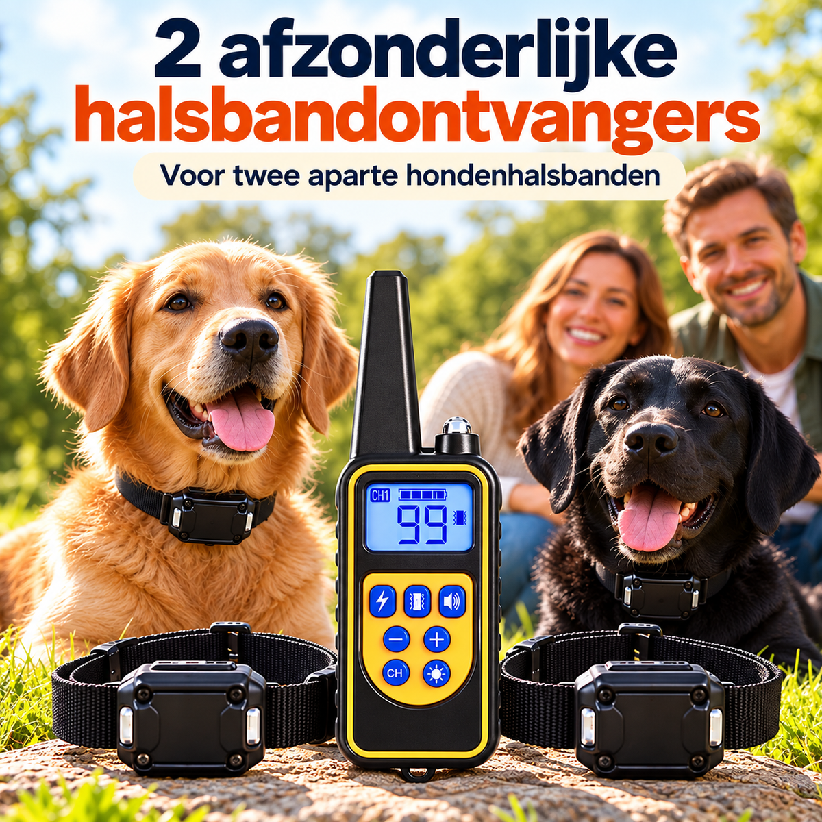 PROCANIS – Trainingshalsband voor 2 Honden met Afstandsbediening, 2 Ontvangers & 3 Modi