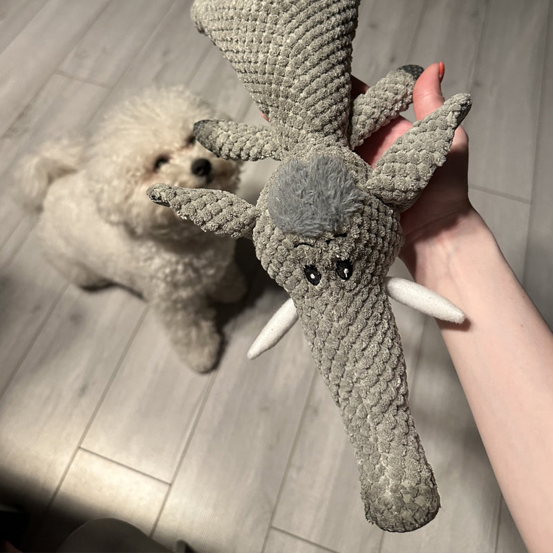 Extra sterk honden speelgoed - Maximus