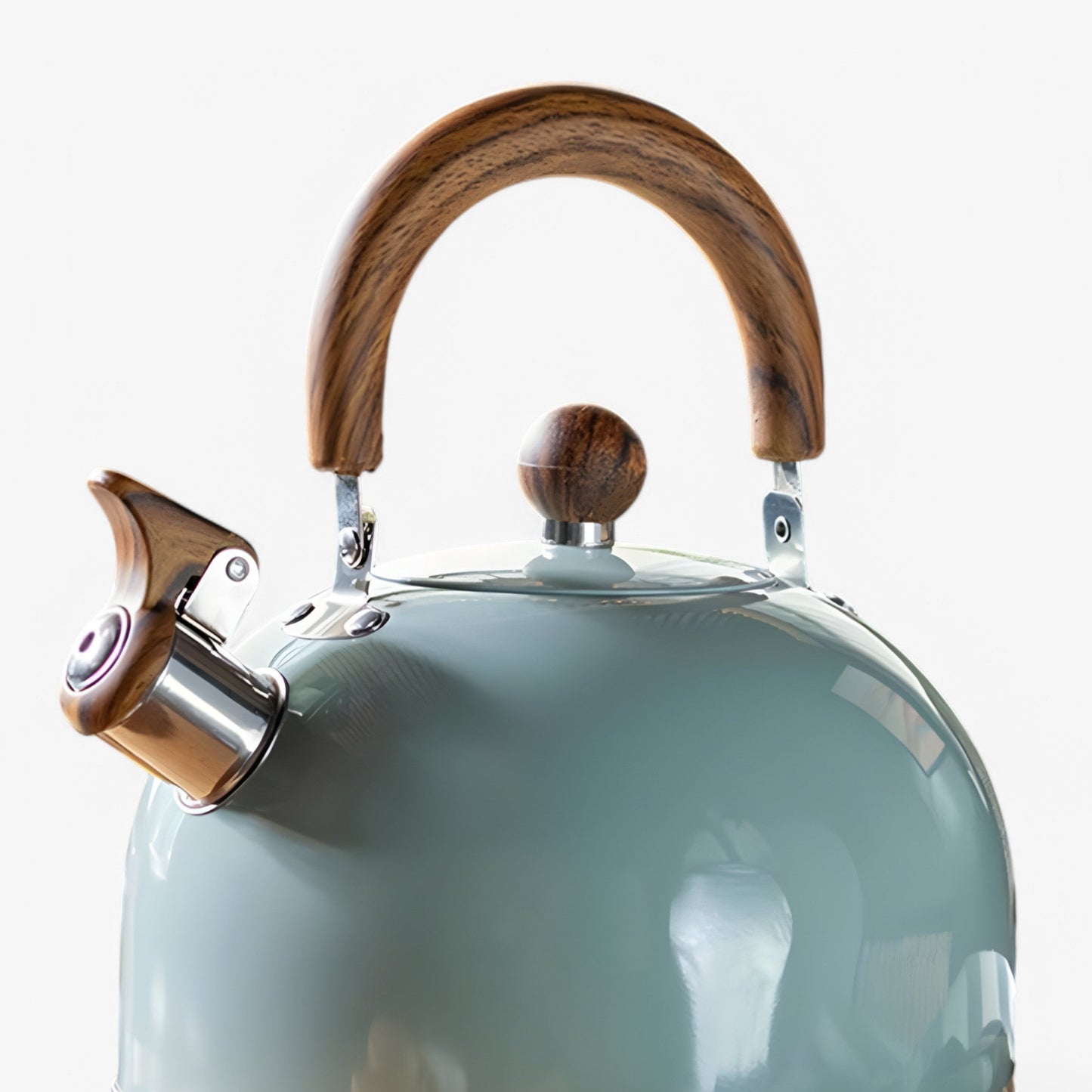 Thermora Kettle – Elegante fluitketel voor inductiekookplaten met een capaciteit van 2,5L en veiligheidsfuncties
