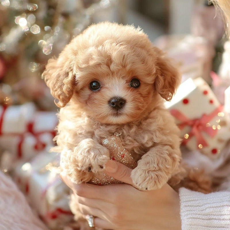 Interactieve Realistische Puppy Robot