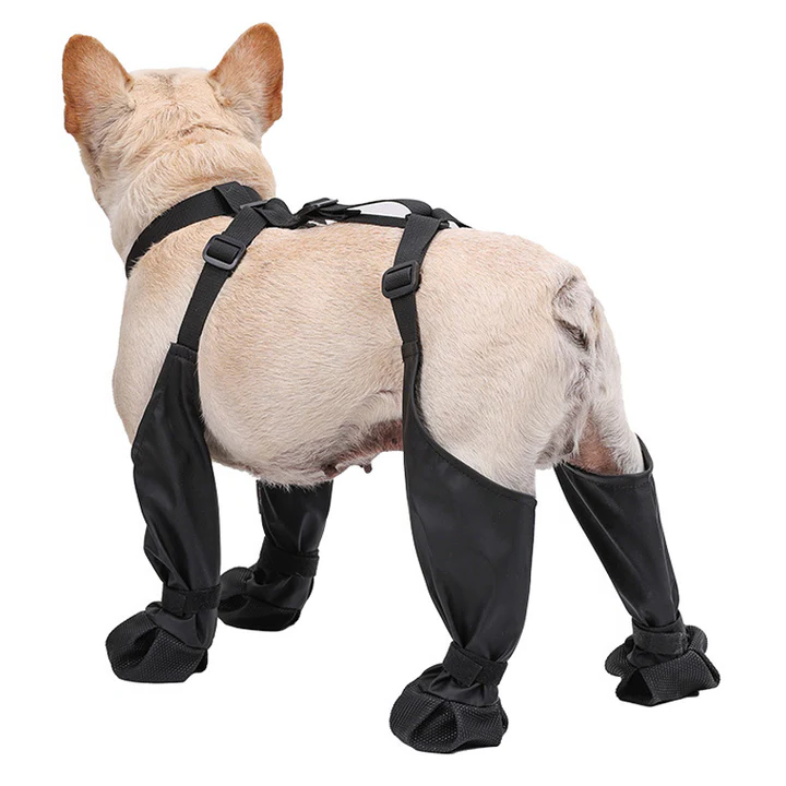 Verstelbare Honden Schoenen | Ademend, Waterdicht en Antislip