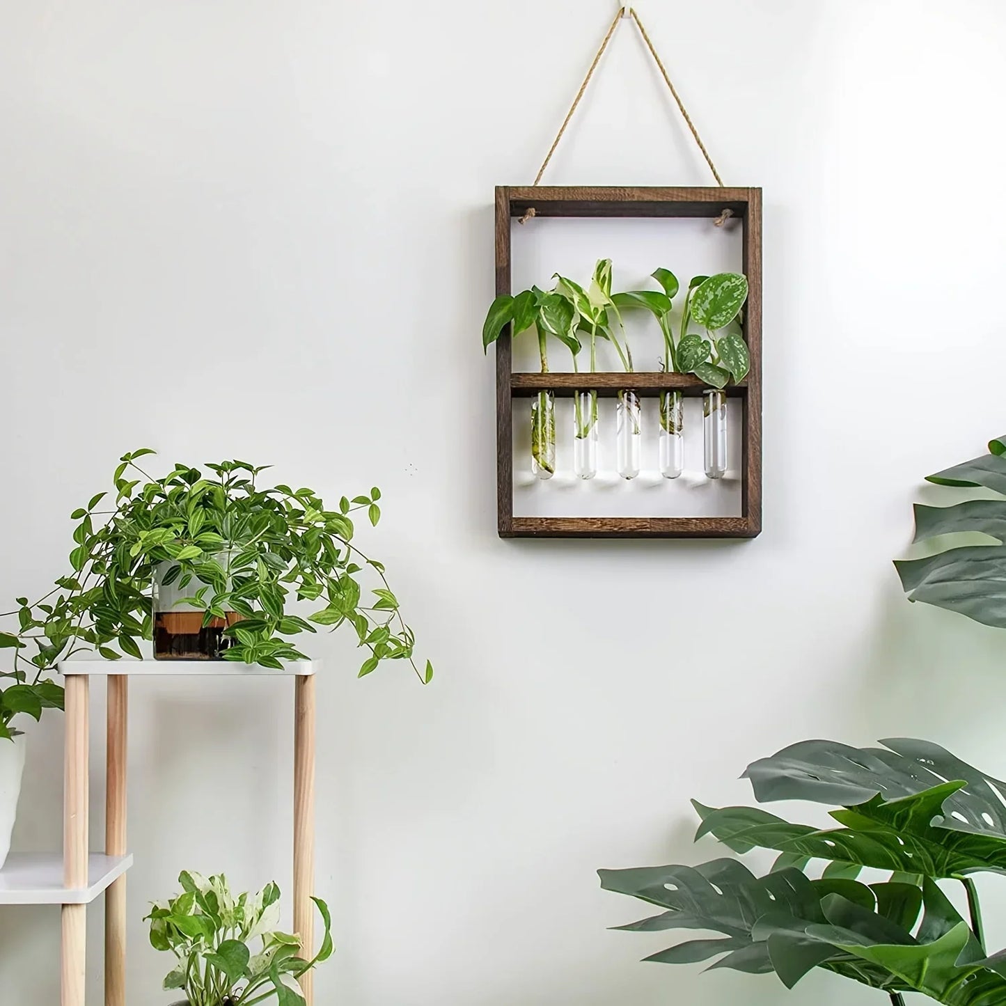 Planten Fotolijst | Elegante Vermeerderingsontwerp