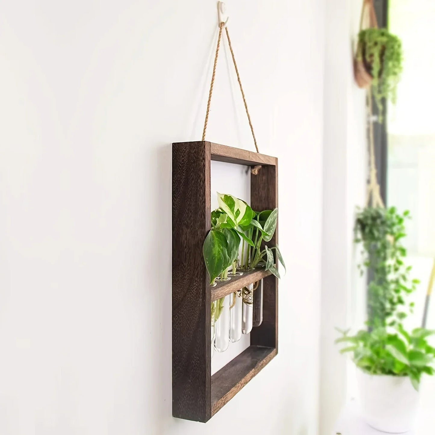Planten Fotolijst | Elegante Vermeerderingsontwerp
