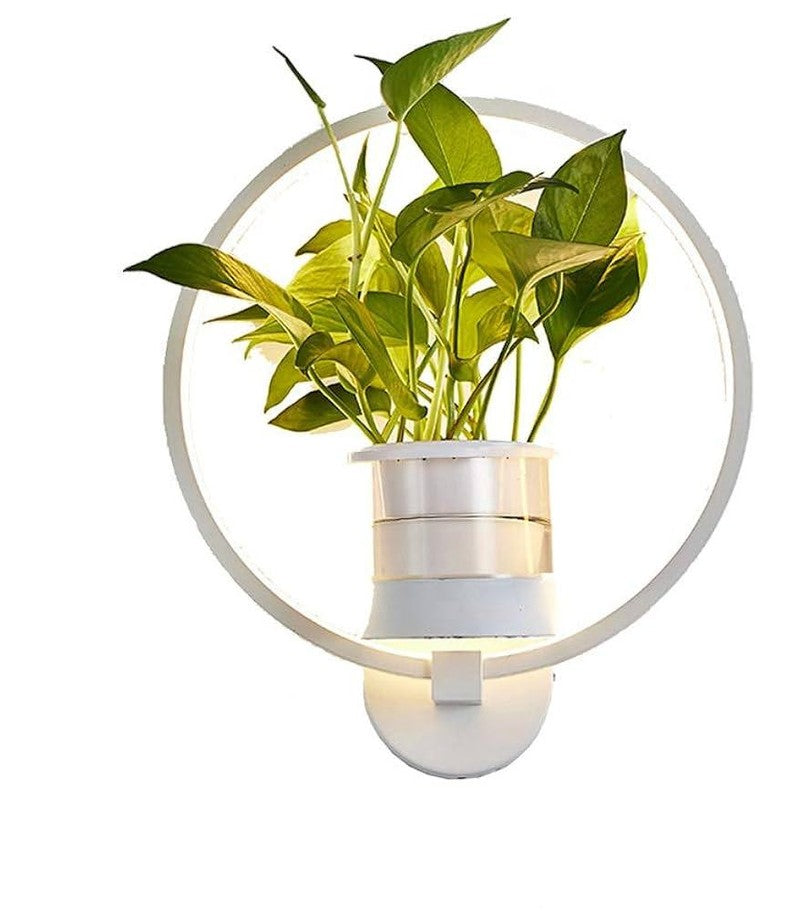 Botanische Wandleuchte met Plant | Stijlvolle Wandverlichting
