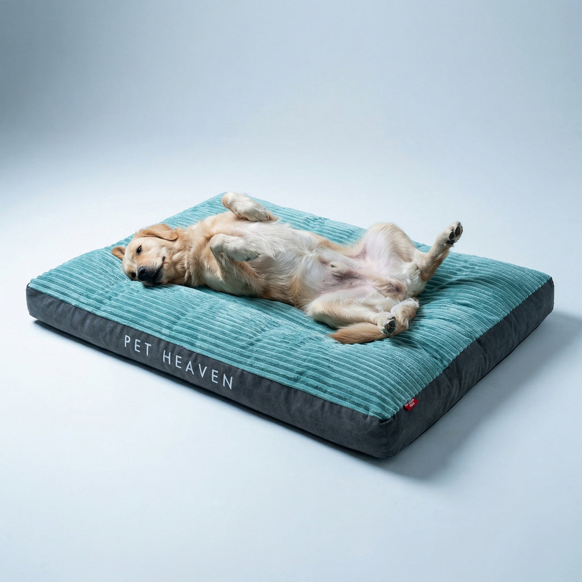 Orthopedisch Hondenbed – Zachte Bekleding & Antislip Bodem