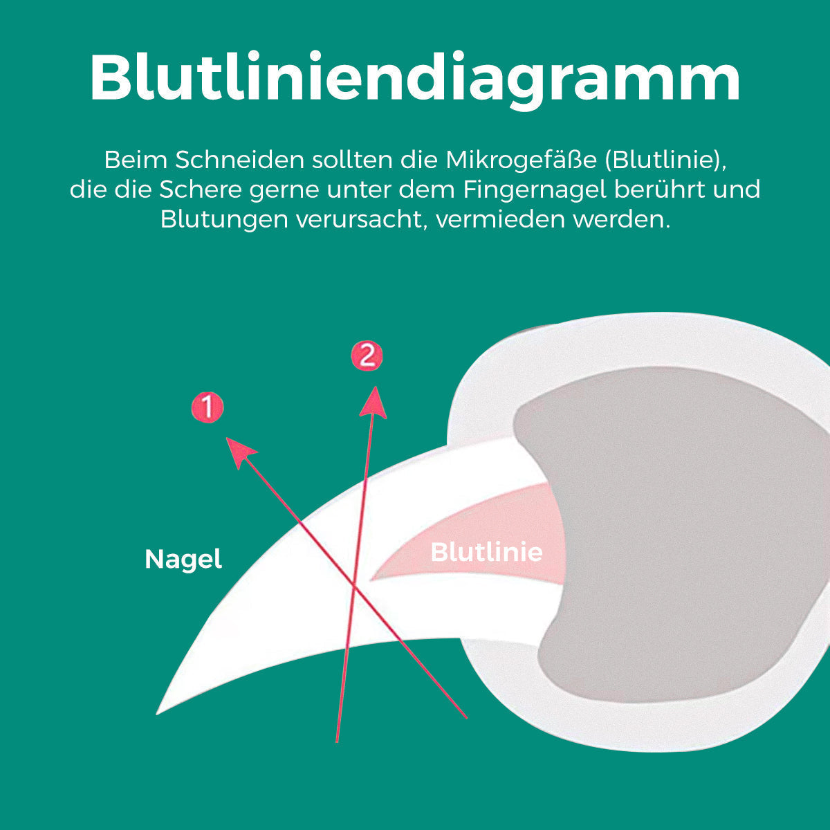 ClarityClip | Ergonomische en veilige LED-nagelknipper voor honden en katten voor een nauwkeurige grooming