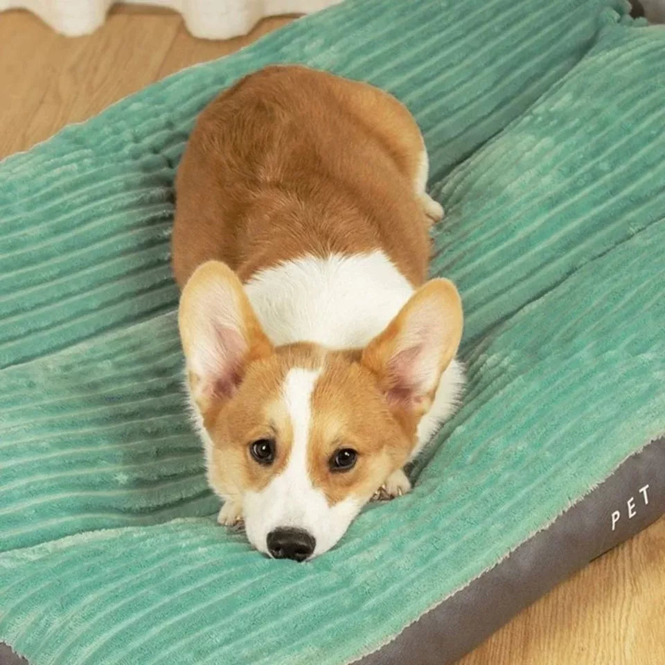 Orthopedisch Hondenbed Comfortabel | Bed met Ondersteunend Kussen voor Grote Honden met Antislip Basis
