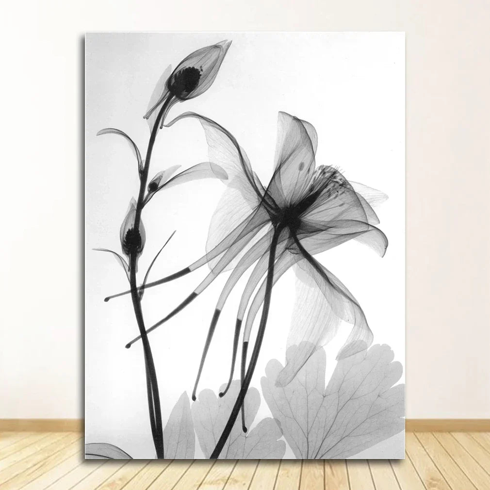 Exotische Bloemen Minimalistische Zwart Wit Wandkunst Fine Art Canvasprints Moderne Botanische Afbeeldingen Voor Woon- Eetkamer Kantoor Decor