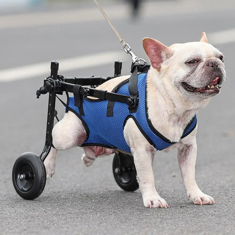 Gezondheid & Zorg Rollwagen voor Honden met Mobiliteitsbeperkingen