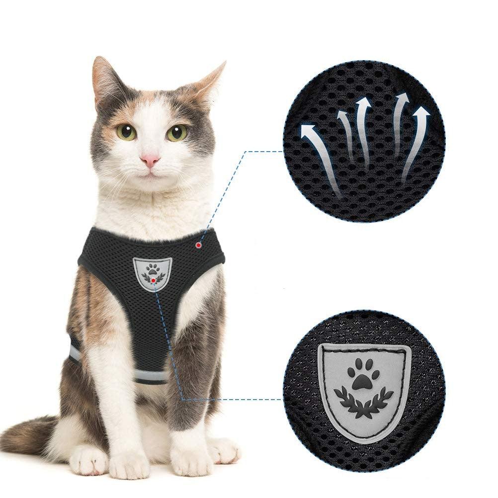 Purr Leash Kattenharnas | Houdt je huisdier zichtbaar en veilig tijdens avondwandelingen.