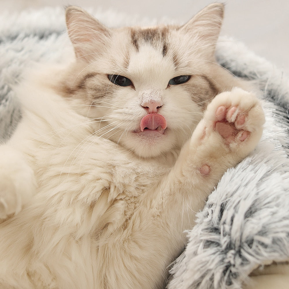Hondenbed en kattenbed voor stressvrije ontspanning thuis