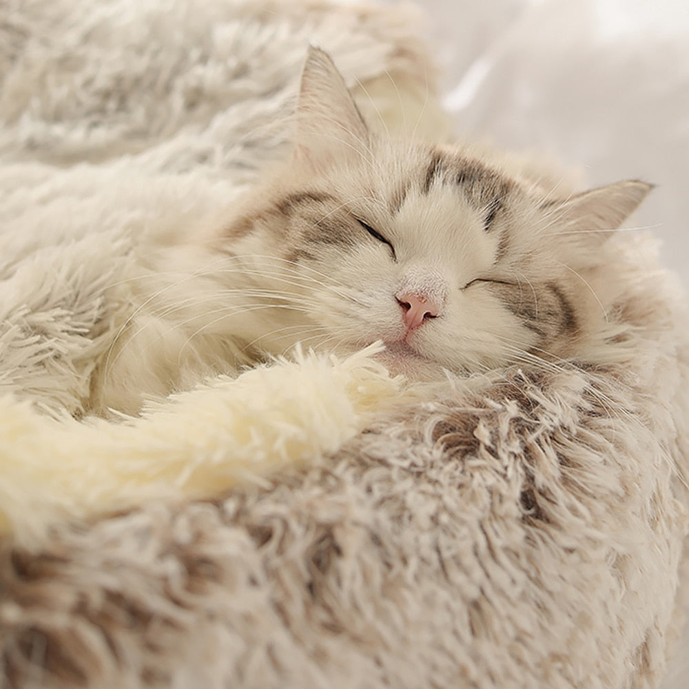 Hondenbed en kattenbed voor stressvrije ontspanning thuis