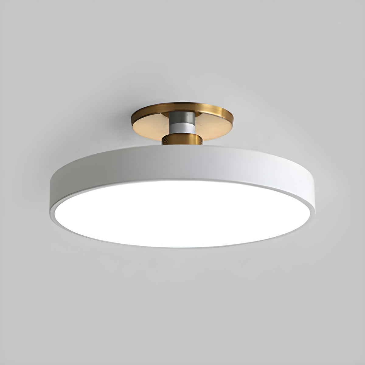 Loma Flush Mount Plafondlamp