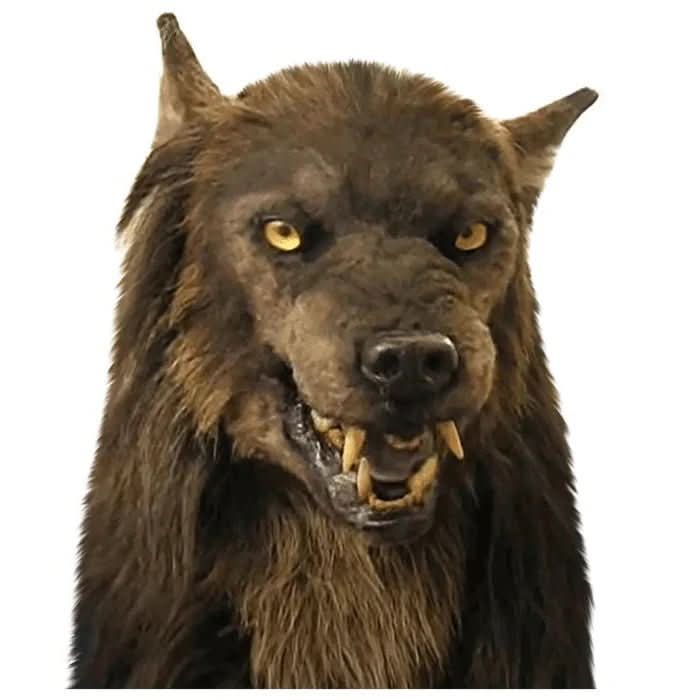 Natuurlijke weerwolfmasker voor Halloweenkostuums en cosplay