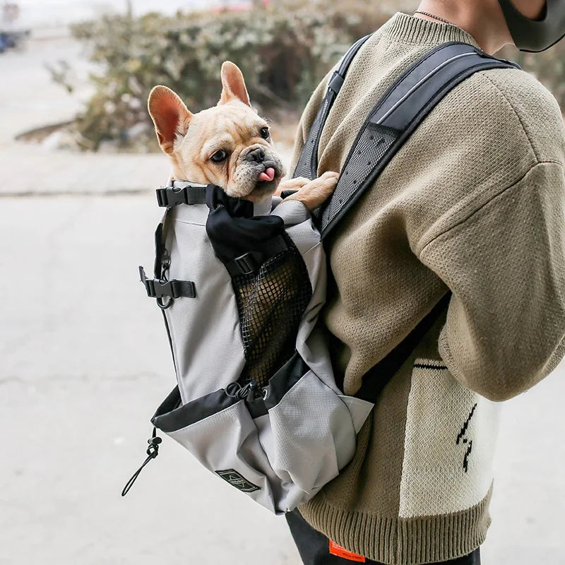 Reistas voor Honden van Kleine en Middelgrote Rassen