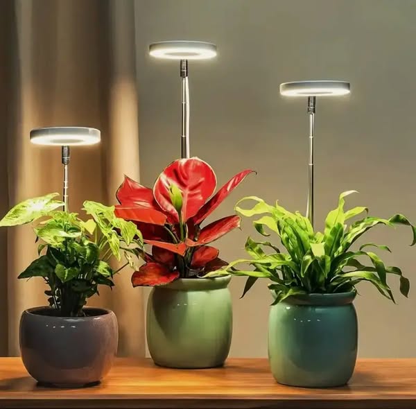 Plantenlamp | Volledig spectrum Groei Licht | Timer en Dimmfunctie | PlantGlow