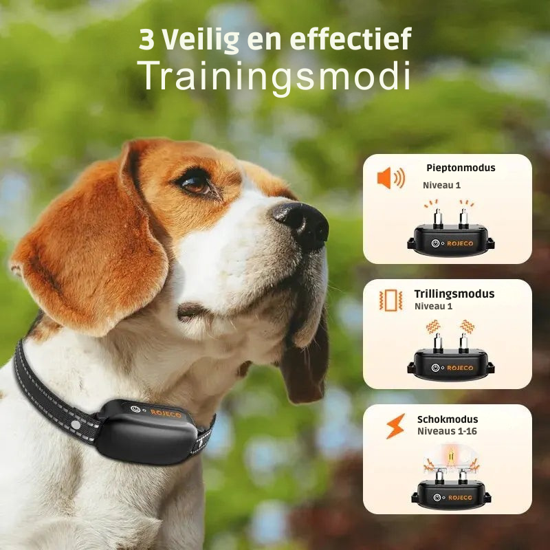 ProTrain – Oplaadbare waterdichte hondentrainingshalsband