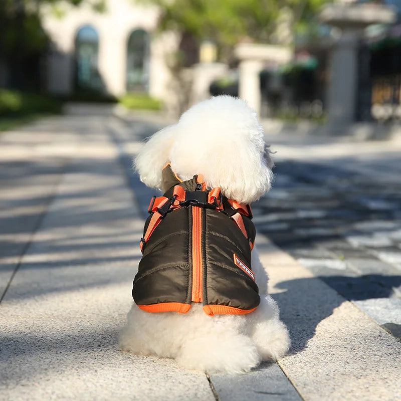 VivaPet Wintervest | Waterdichte hondenmantel met tuig voor chihuahua, yorkie en andere kleine honden