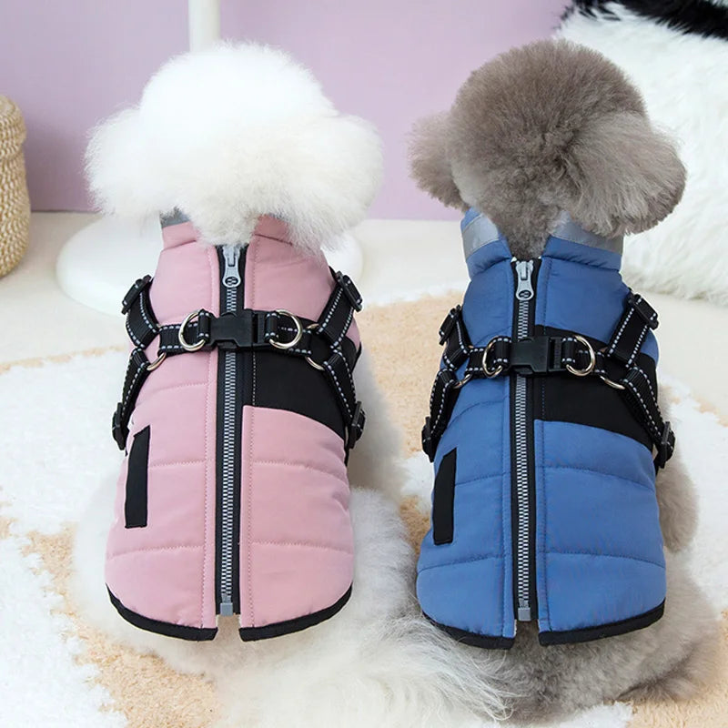 LuxePaws Honden Outfit | Warme Winddichte Jas voor Kleine en Medium Honden