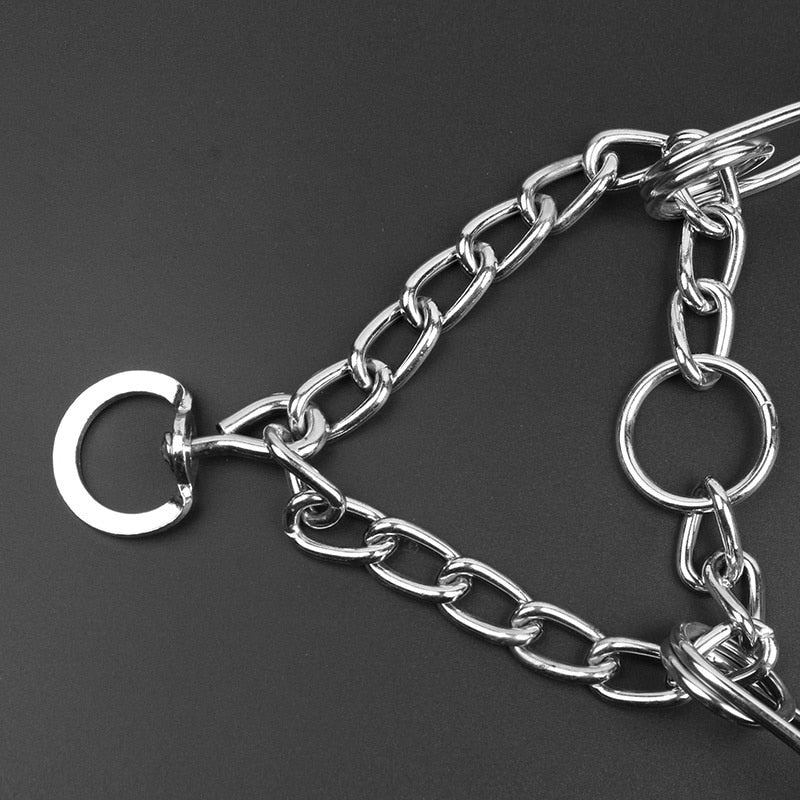 Hond Pincher Halsband - Stijl B