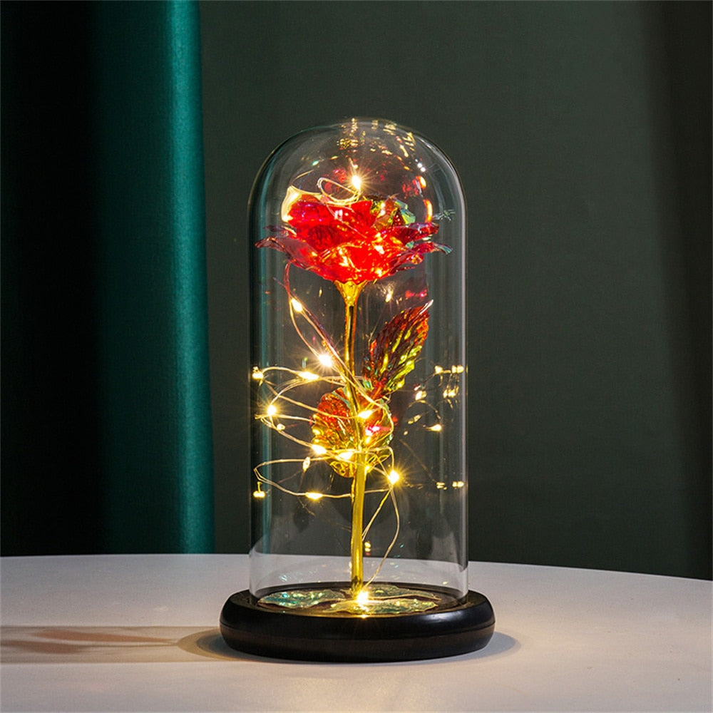 Perpetuele Rozen Dome Licht