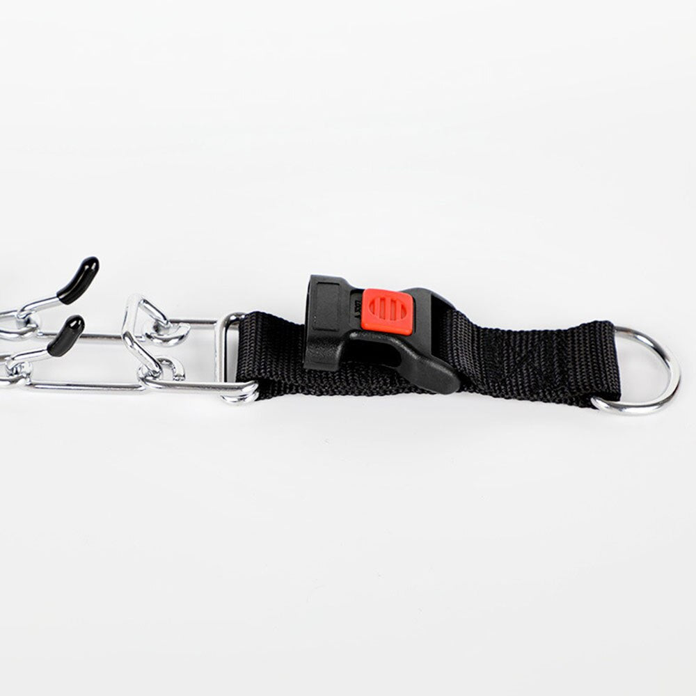 Hond Pincher Halsband - Stijl C