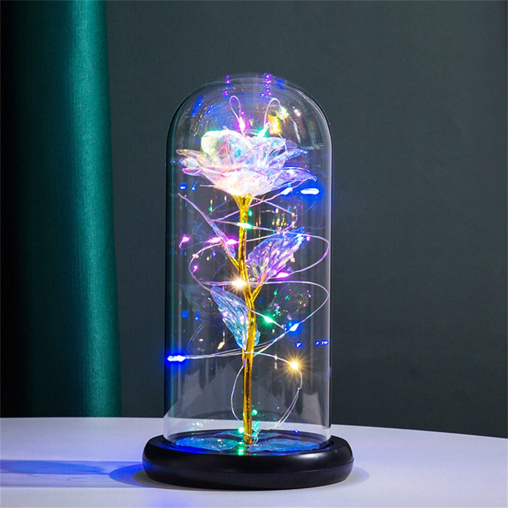 Perpetuele Rozen Dome Licht